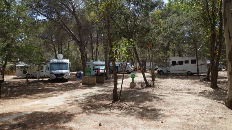 Van/Caravan/CC pitch bookable