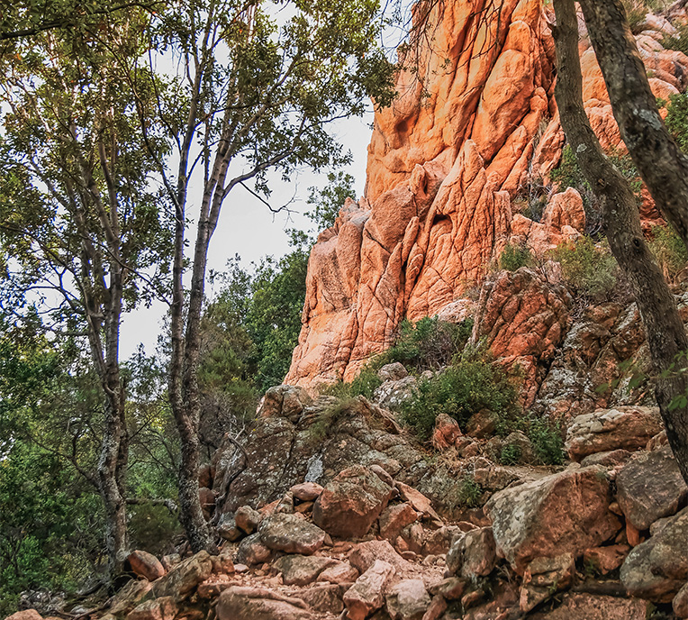 environnement paisible et ombrage