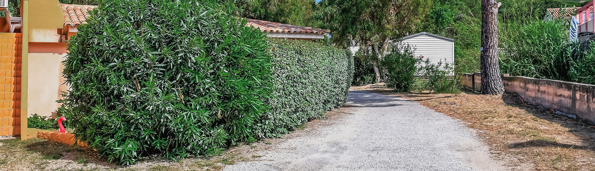 mentions legales castors residence calvi